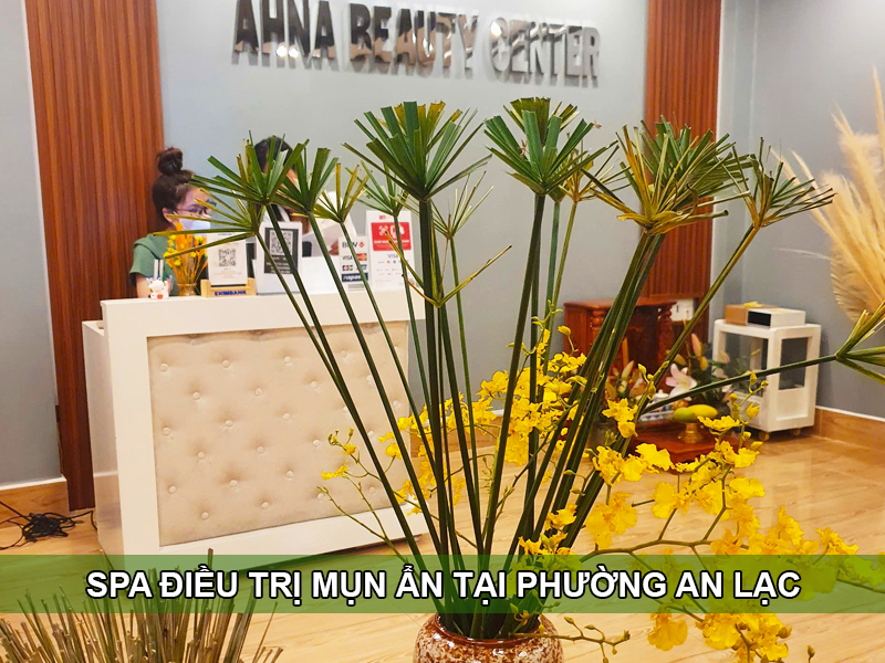 spa dieu tri mun an tai binh tan